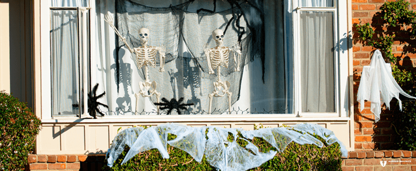 ADL-Skeletons in the window